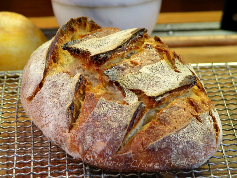 Votre Premier Pain Au Levain – Ni Cru Ni Cuit